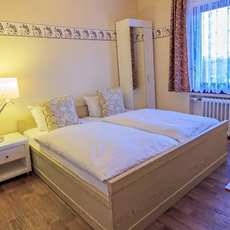 Отель Palatino 3*